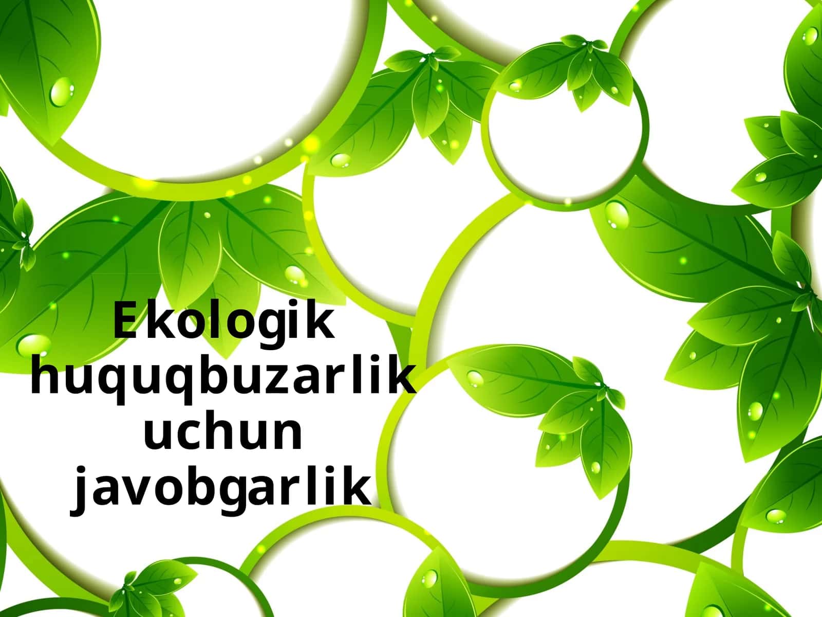 Ekologik huquq buzarganlik uchun javobgarlik