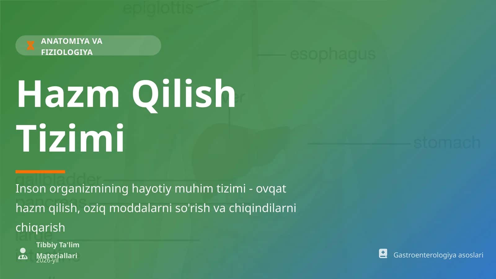 ANATOMIYA VA FIZIOLOGIYA Hazm Qilish Tizimi