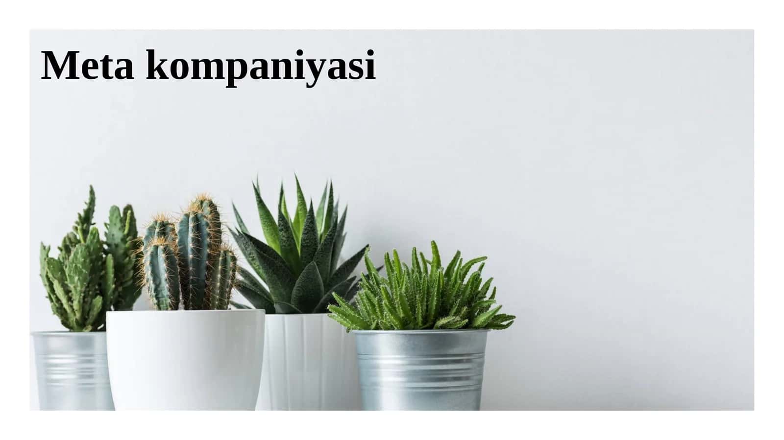 Meta kompaniyasi