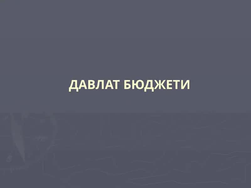 ДАВЛАТ БЮДЖЕТИ