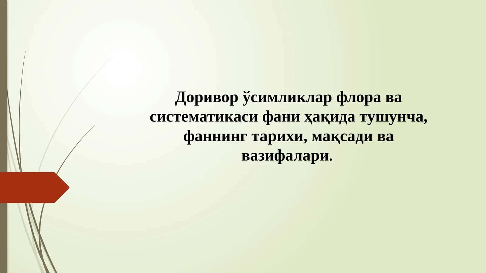 Доривор ўсимликлар флора ва систематикаси