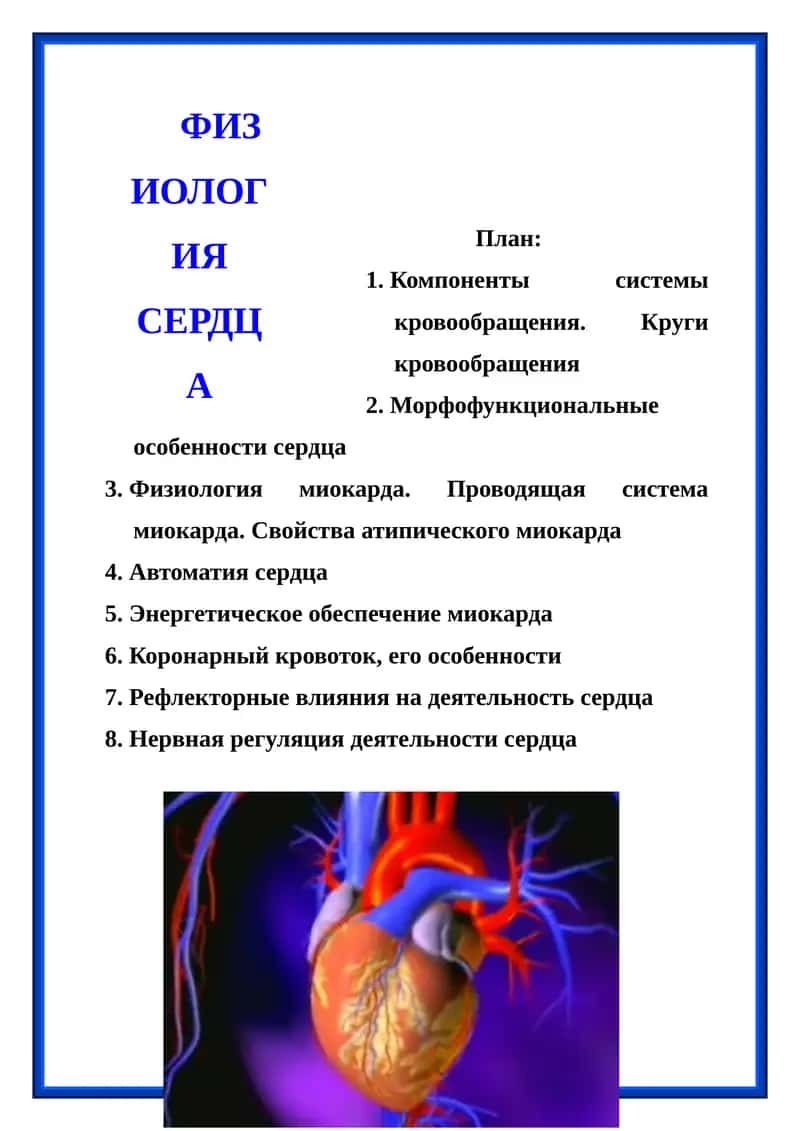 Физиология сердца