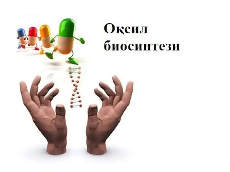 Оқсил биосинтез