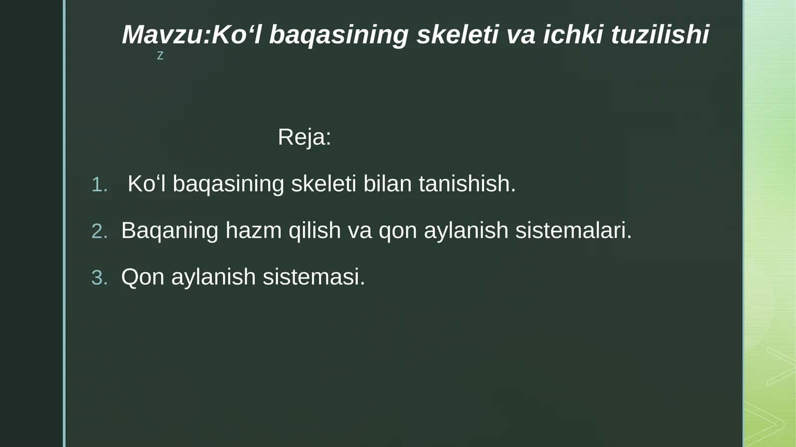 Koʻlbaqasining skeleti va ichki tuzilishi