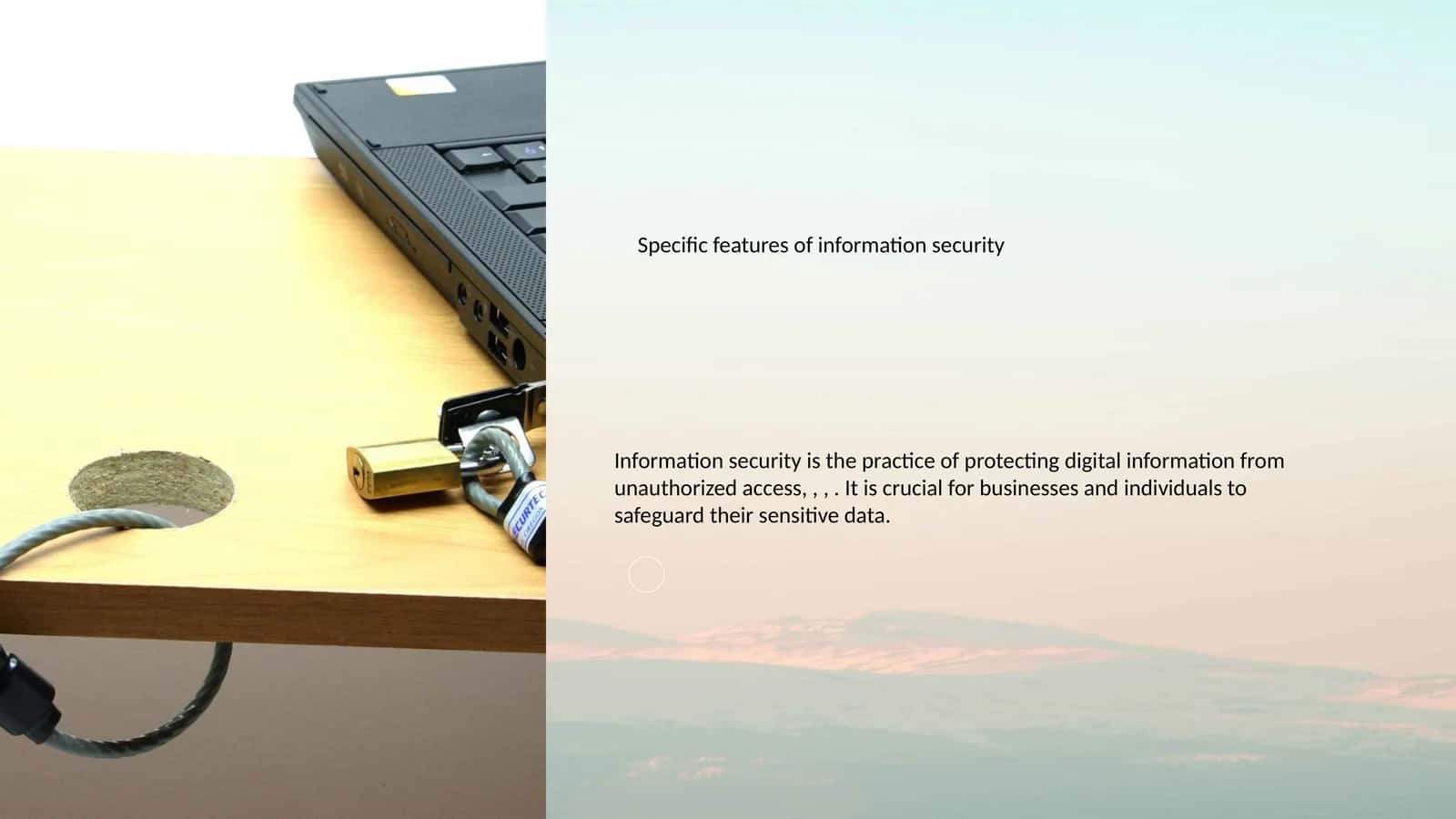 Information Security Importance