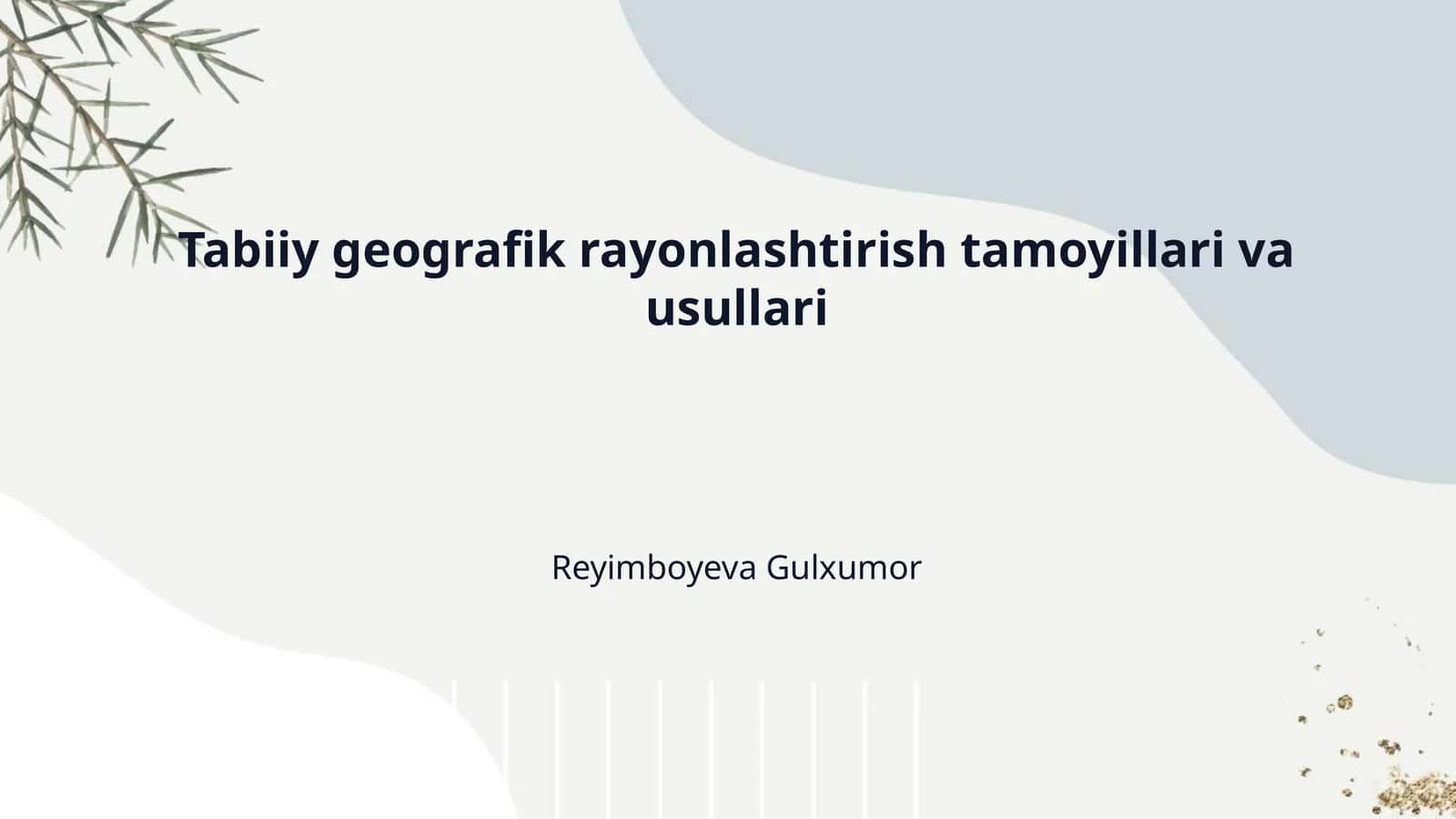 Tabiiy geografik rayonlashtirish tamoyillari va usullari