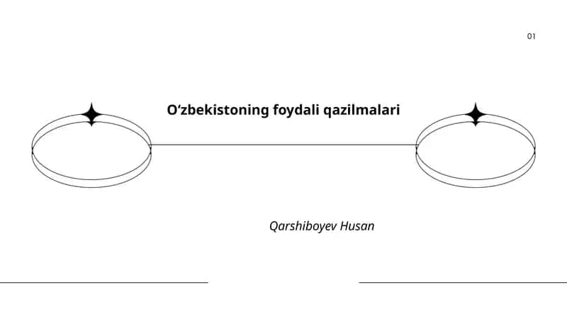 Oʻzbekistoning foydali qazilmalari