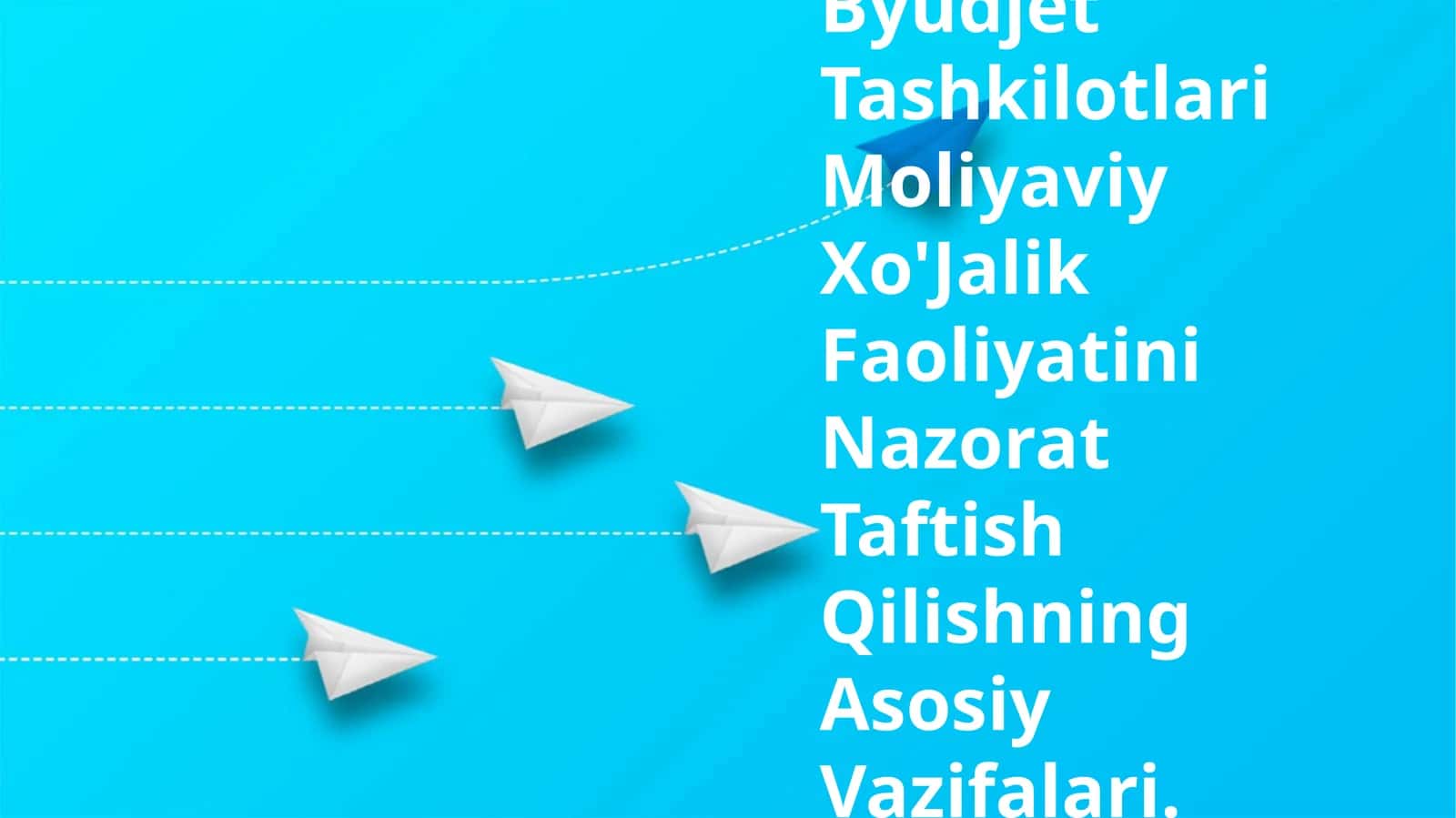 Byudjet Tashkilotlari Moliyaviy Xo'Jalik Faoliyatini Nazorat Taftish Qilishning Asosiy Vazifalari