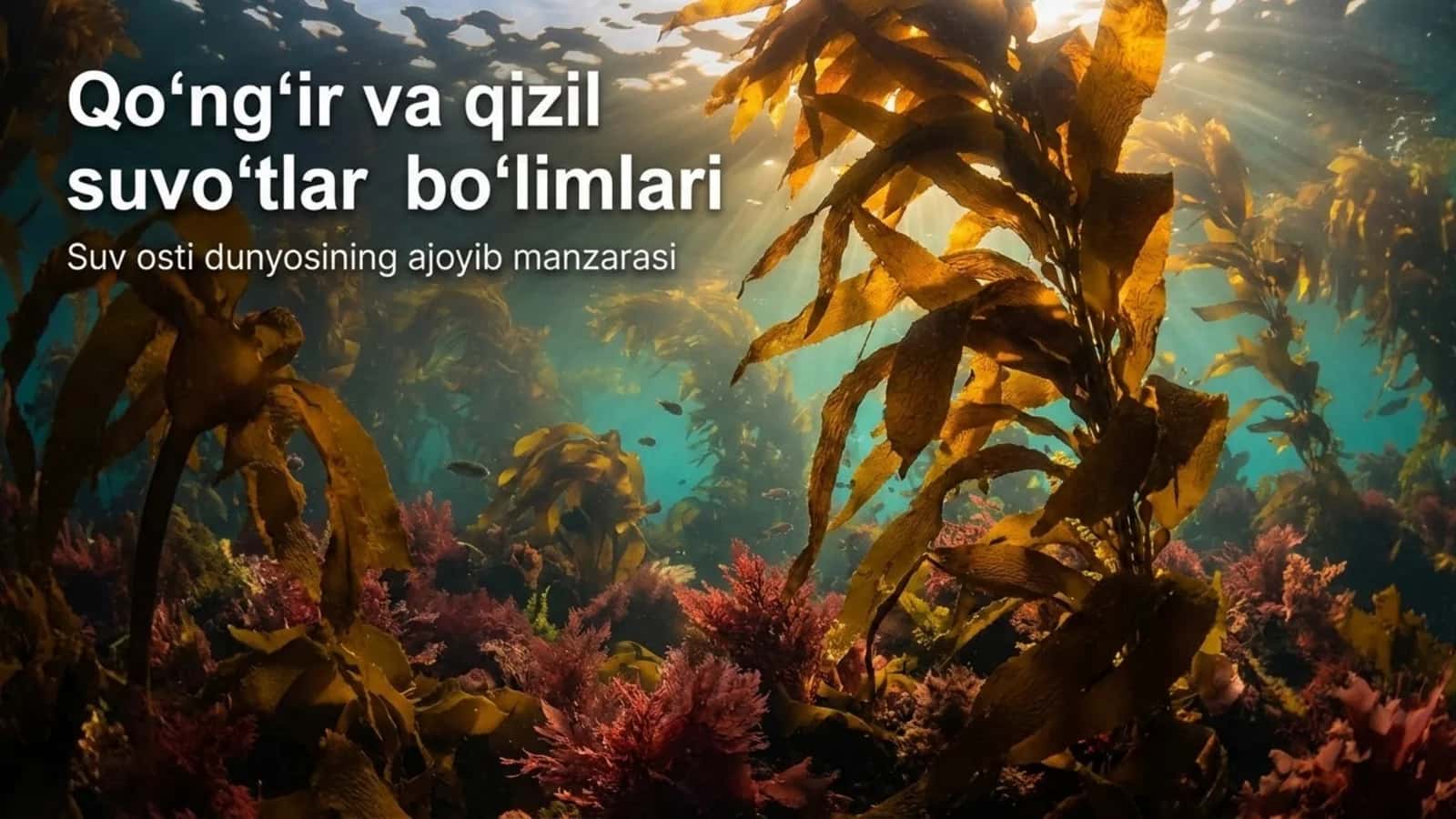 Qo'ng'ir va qizil suvo'tlar
