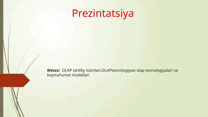 OLAP Tahliliy Tizimlari