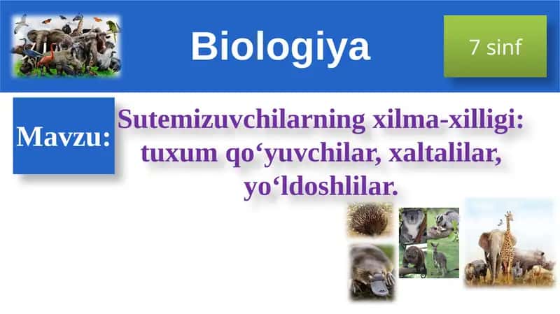 Sutemizuvchilarningxilma-xilligi
