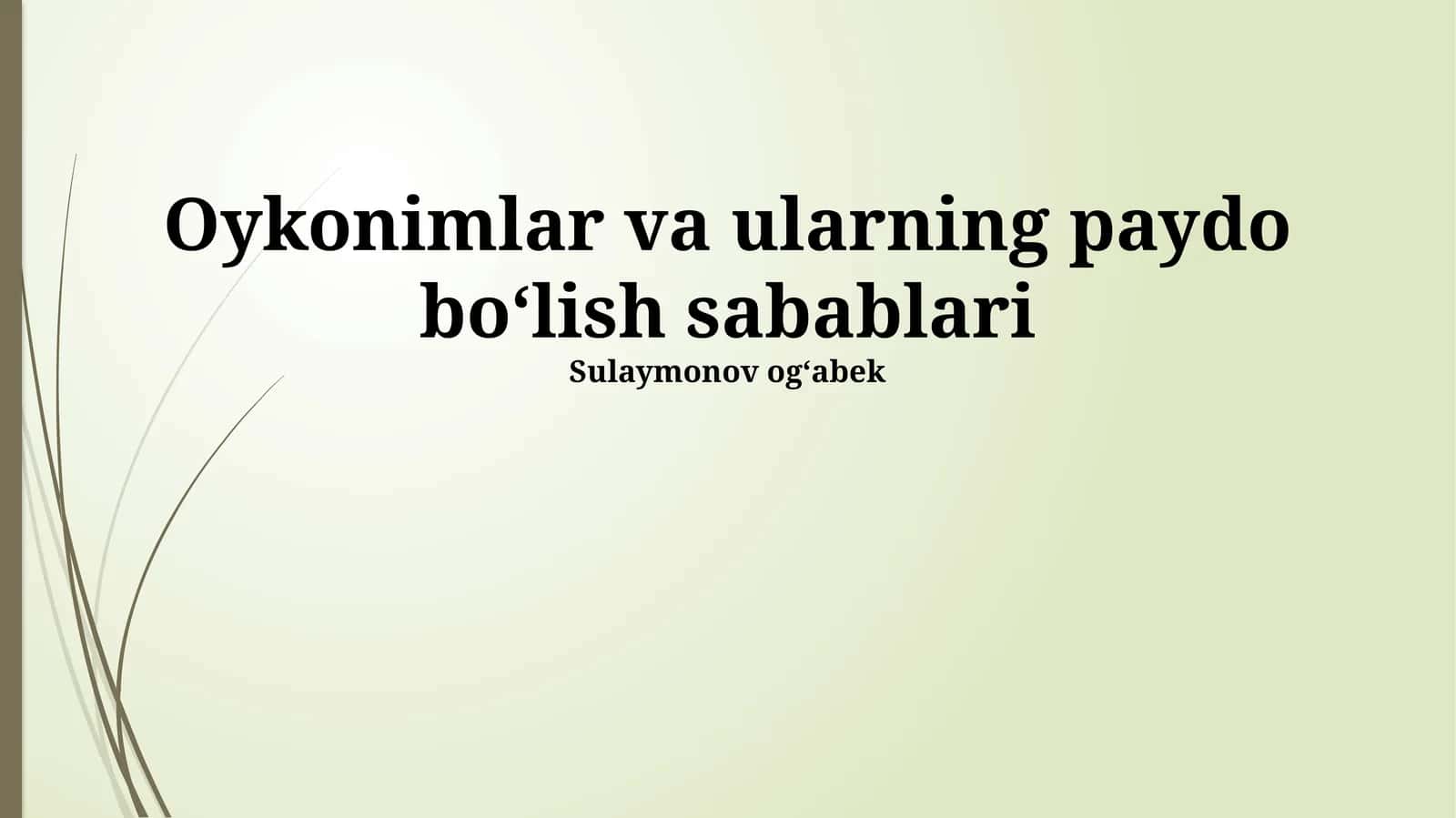 Onomastik tadqiqotlar