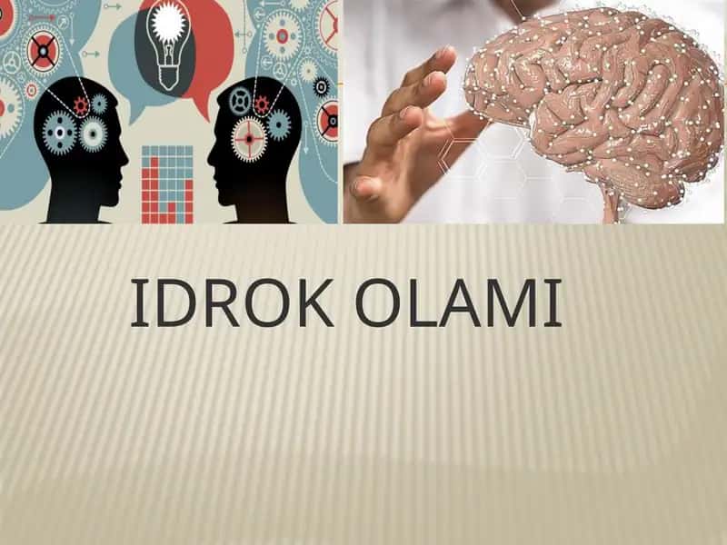 slayd idrok