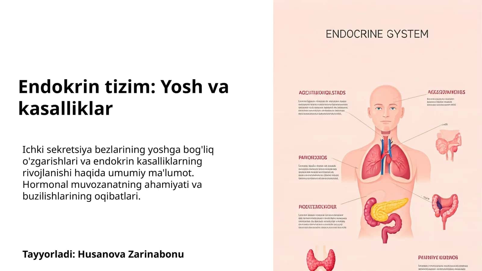 Endokrin tizim: Yosh va kasalliklar