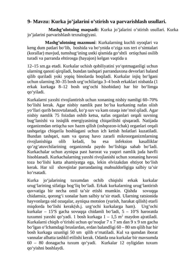 Kurka jo’jalarini o’stirish va parvarishlash usullari