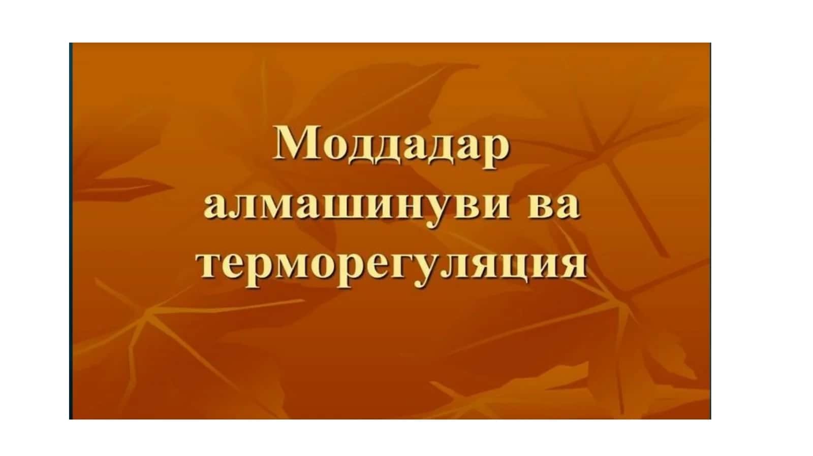 ПЛАСТИК АЛМАШИНУВ