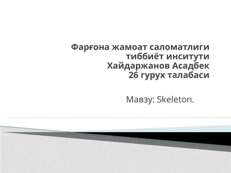 Skeleton