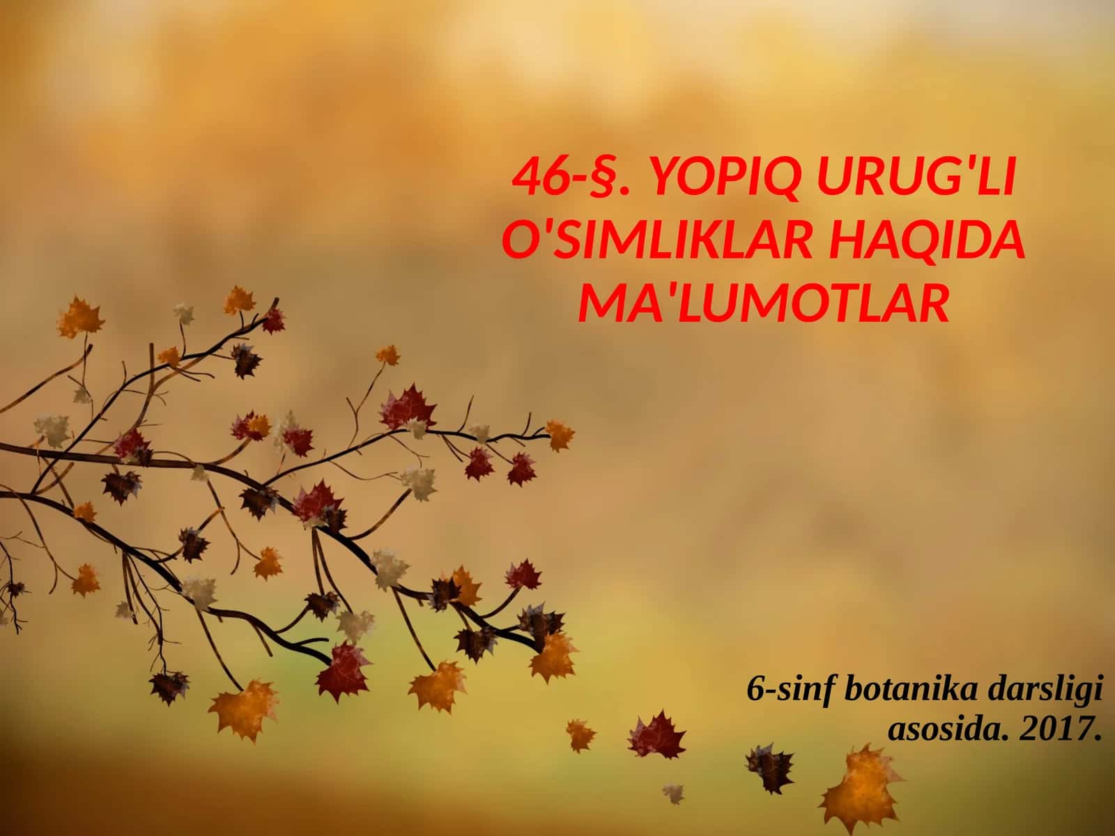 6-sinf Botanika Yopiq urug'li o'simliklar haqida ma'lumotlar