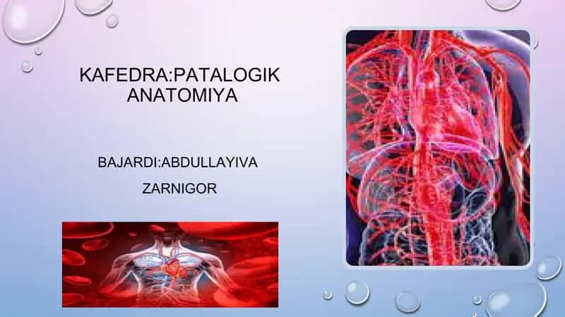 Limfa sistemasi va venoz yitishmovchilik patologiyasi