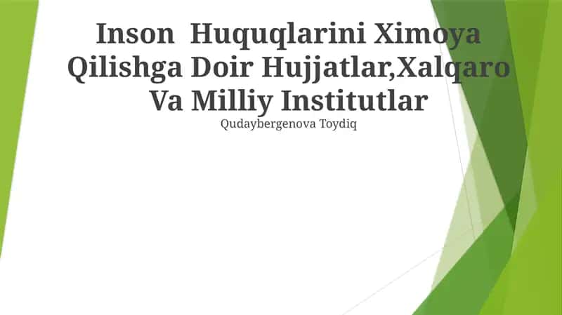 Inson Huquqlarini Ximoya Qilishga Doir Hujjatlar, Xalqaro Va Milliy Institutlar
