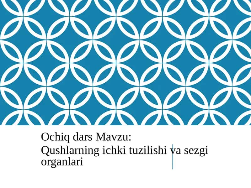 Qushlarning ichki tuzilishi va sezgi organlari