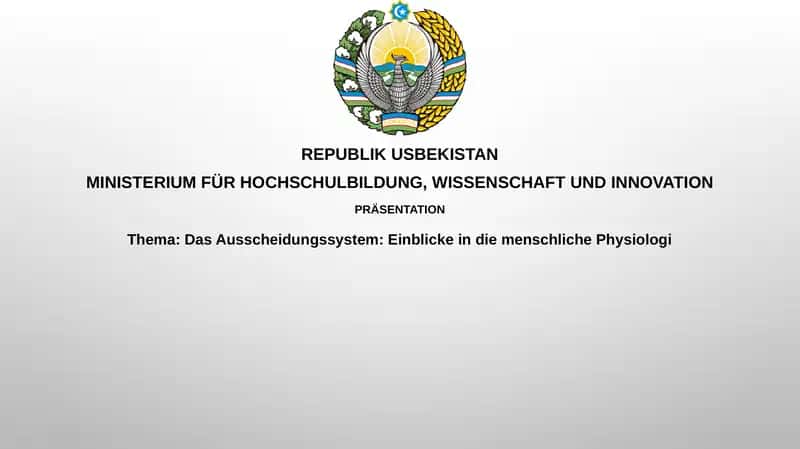 Das Ausscheidungssystem: Einblick in die menschliche Physiologie