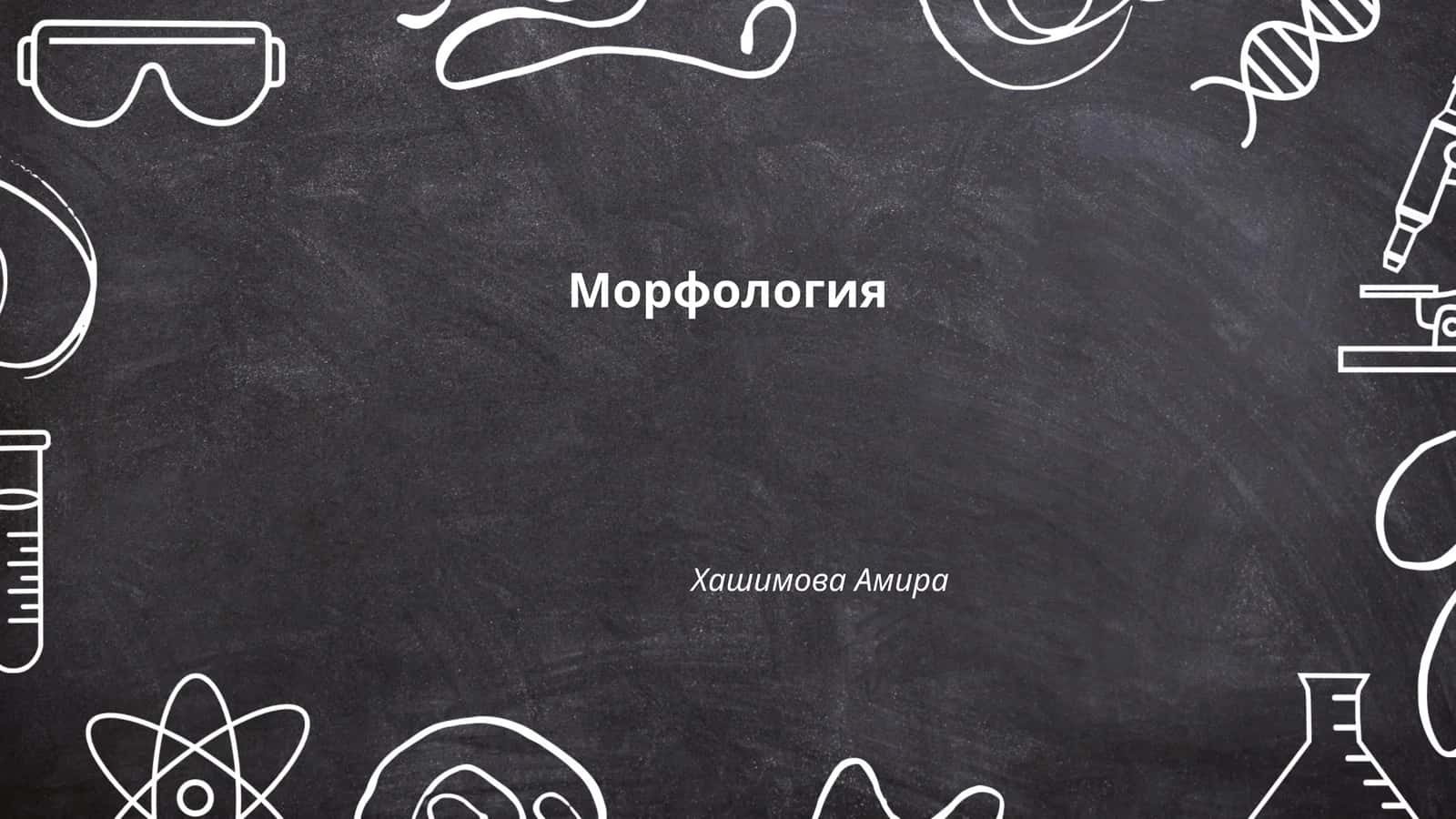 Морфология