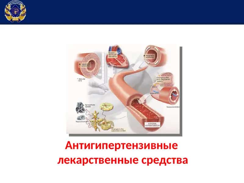 Антигипертензивные лекарственные средства