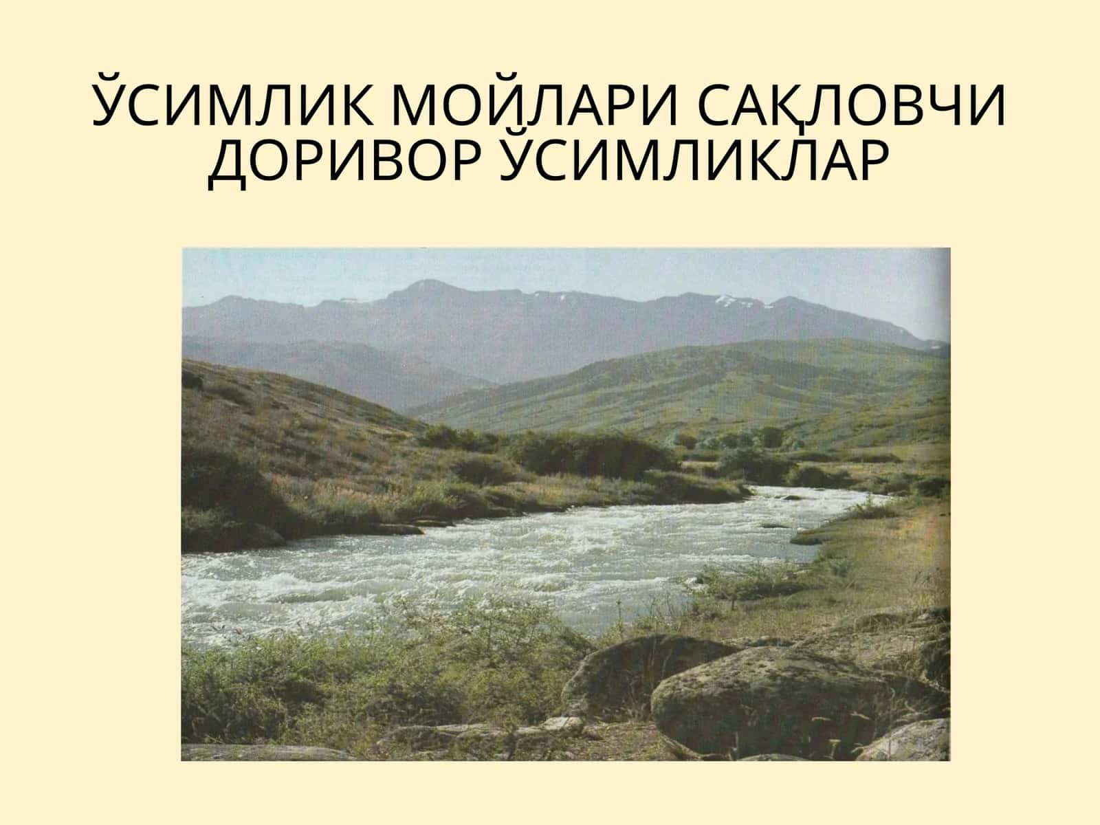 Ўзимлик мойлари