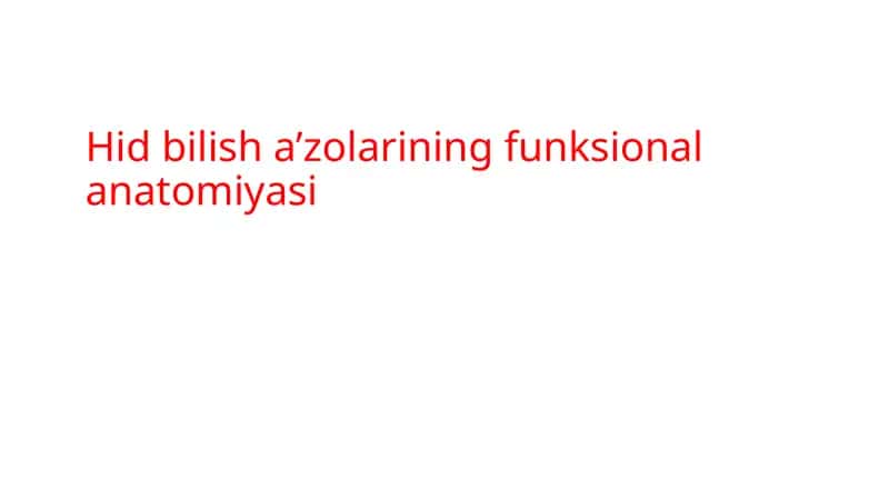 Hid bilish a’zolarining funksional anatomiyasi