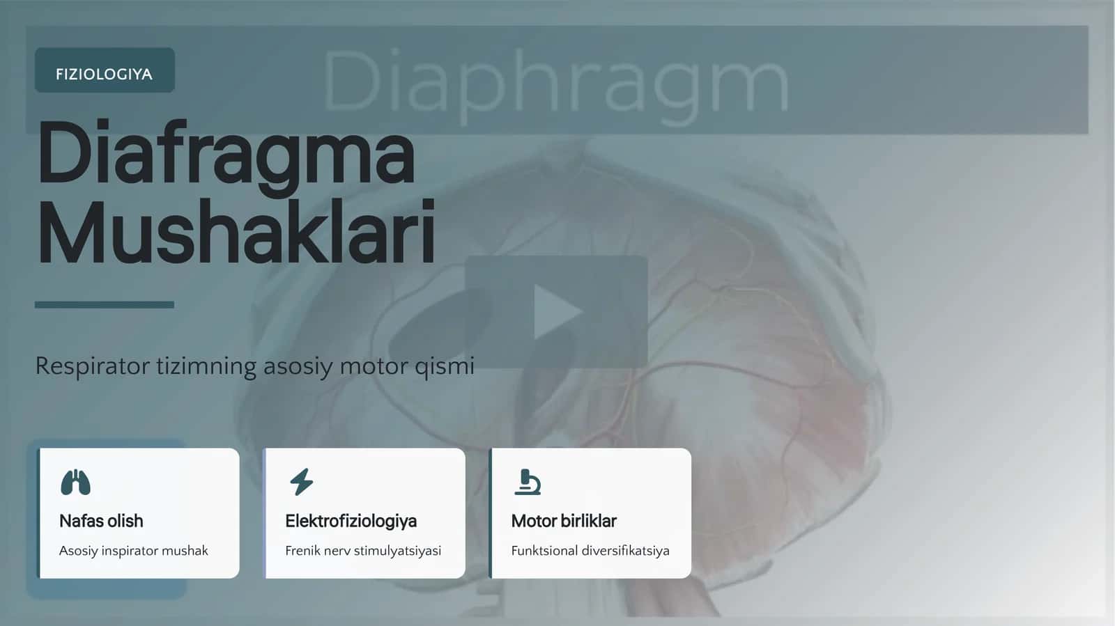 FIZIOLOGIYA