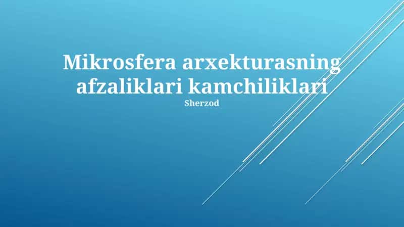 Mikroferma Arxitekturasining Kamchiliklari