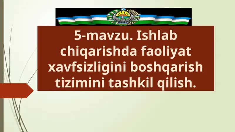Ishlabchiqarish dafaoliyat xavfsizligi ni boshqarish tizimini tashkil qilish
