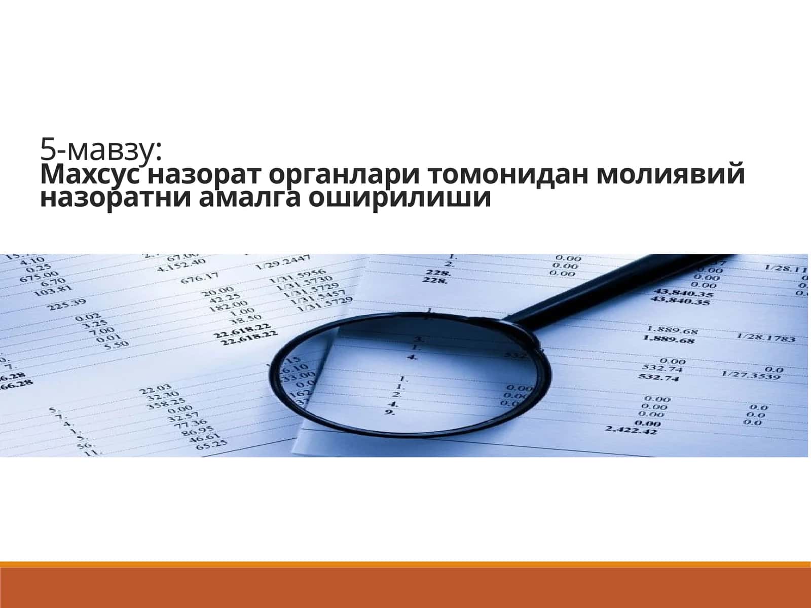 Махсус назорат органлари томонидан молиявий назоратни амалга оширилиши