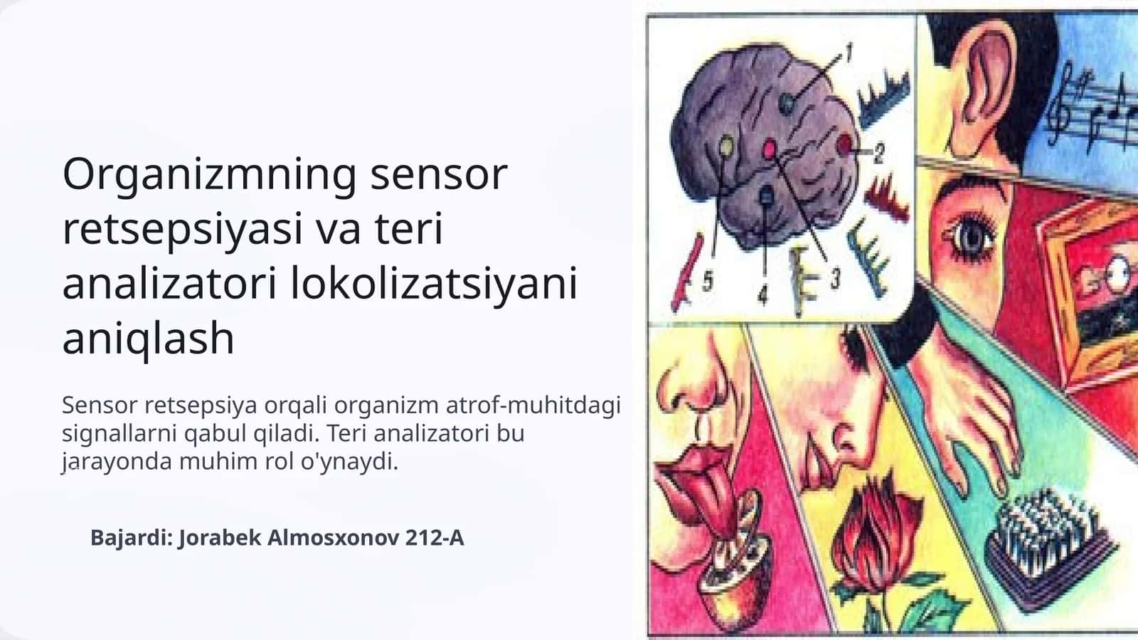 Organizmning sensor retsepsiyasi va teri analizatori lokolizatsiyani aniqlash