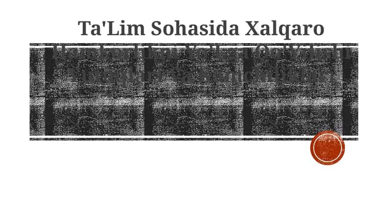 Ta'Lim Sohasida Xalqaro Hamkorlikni Yo'Lga Qo'Yilishi Yutuqlari Va Kamchiliklari