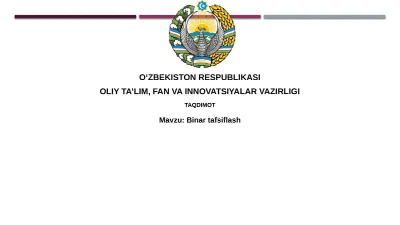 Binar Tafsiflash