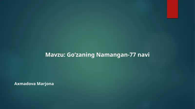 Go‘zaning Namangan-77 navi