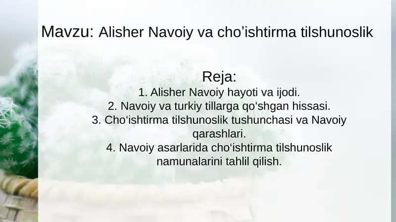 Alisher Navoiy vachoʼishtirmatilshunoslik