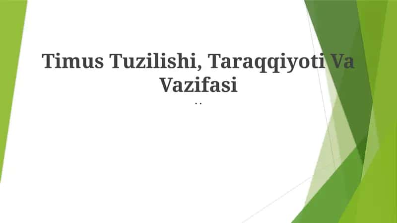 Timus Tuzilishi, Taraqqiyoti Va Vazifasi