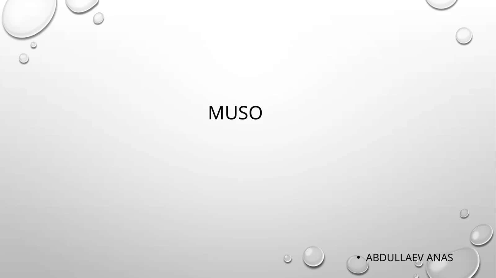 Muso