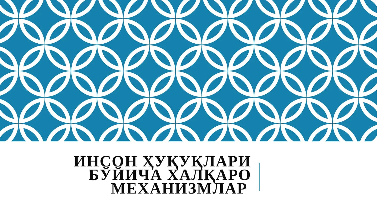 Инсон Ҳуқуқлари Бўйича Халқаро Механизмлар