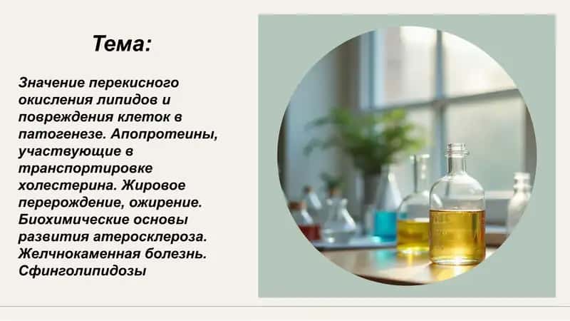 Значение перекисного окисления липидов и повреждения клеток в патогенезе