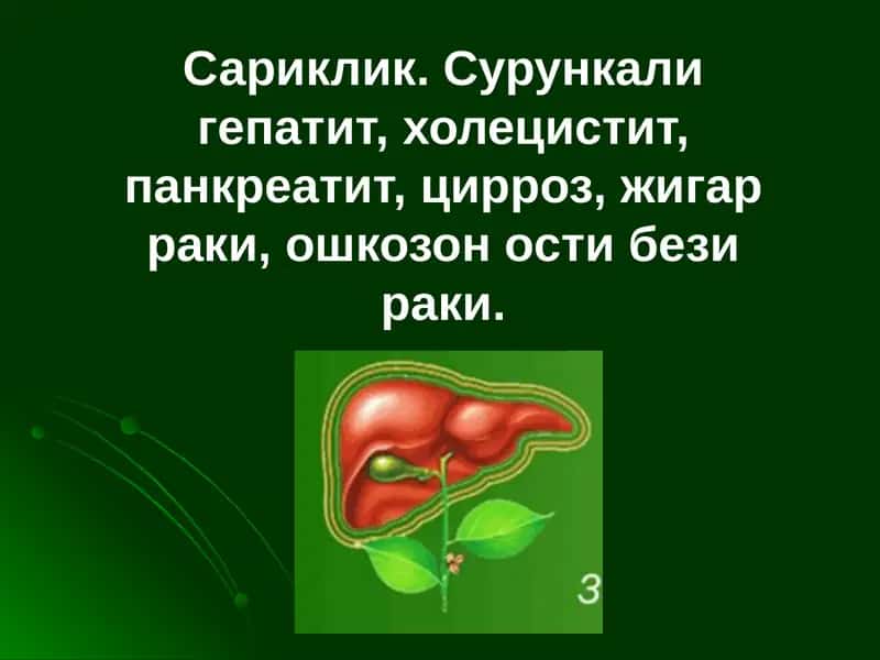 Суринкалигепатитлар