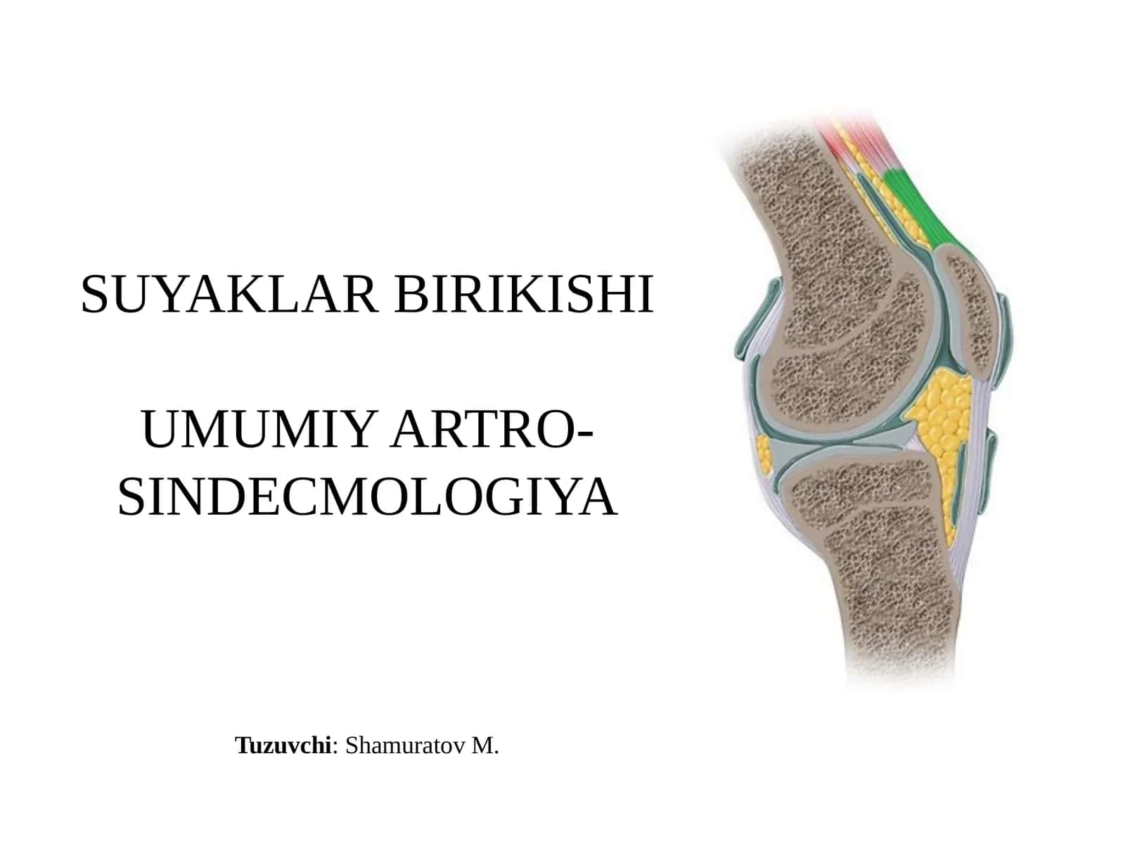 SUYAKLARBIRIKISHI