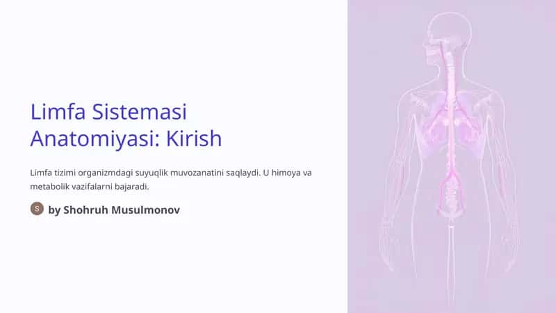 Limfa Sistemasi Anatomiyasi