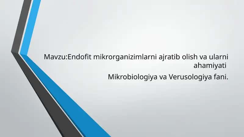 Endofit mikrorganizimlarni ajratib olish va ularni ahamiyati
