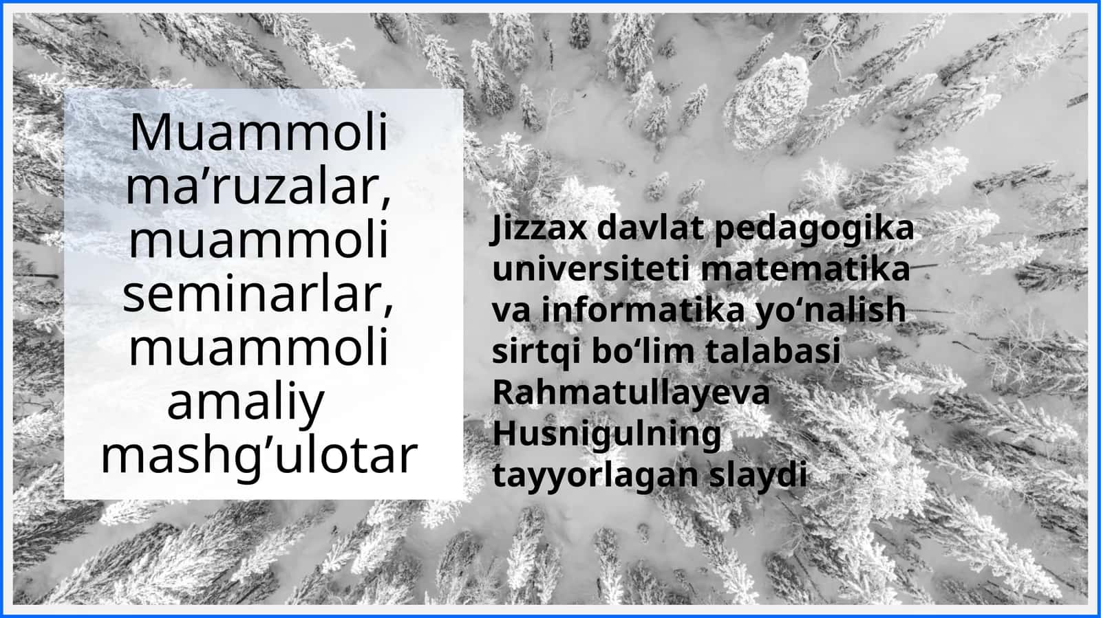 Muammoli ma’ruzalar, muammoli seminarlar, muammoli amaliymashg’ulotar