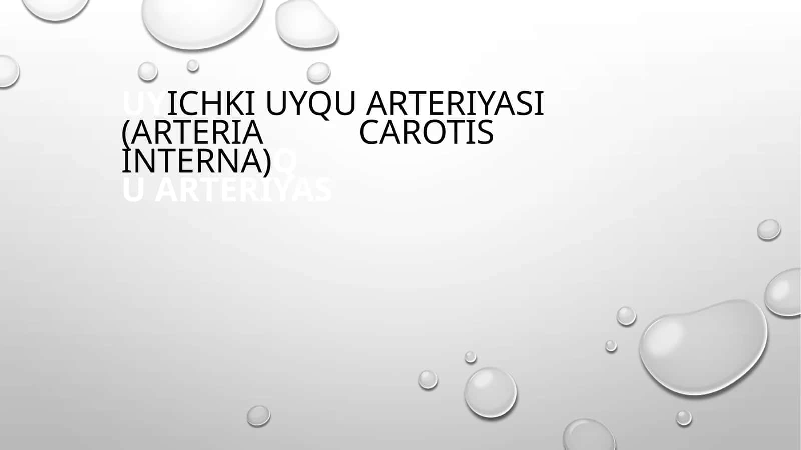 uyICHKIUYQU ARTERIYASI (ARTERIA CAROTIS INTERNA)