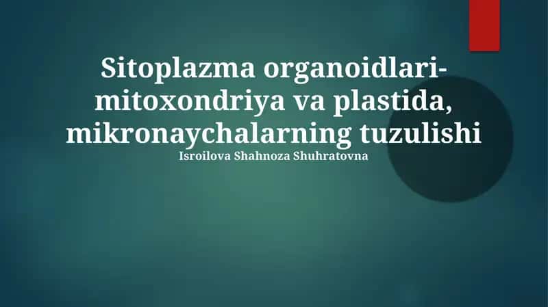 Mitoxondriyalar va Plastidalar: Tuzilishi, Vazifalari va Kelib Chiqishi